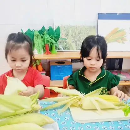 TRƯỜNG MẦM NON DUY NHẬT TÂN